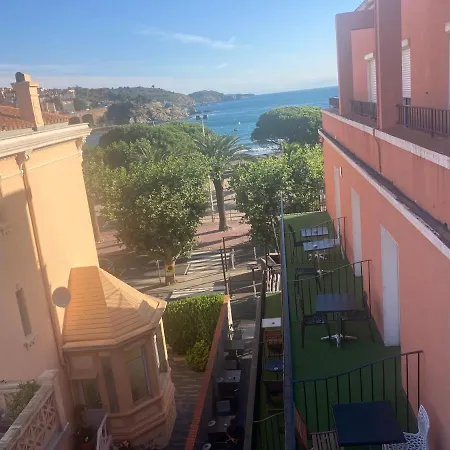 Olmo Banyuls-sur-Mer